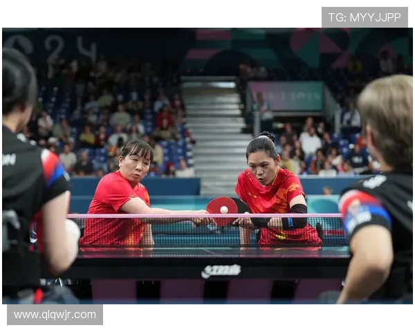 赵强的乒乓球人生探索:从少年梦想到世界舞台的深度对话