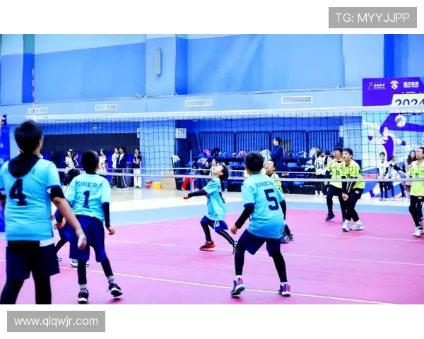 杭州排球队的拼搏之路奥运会背后的奋斗与荣耀